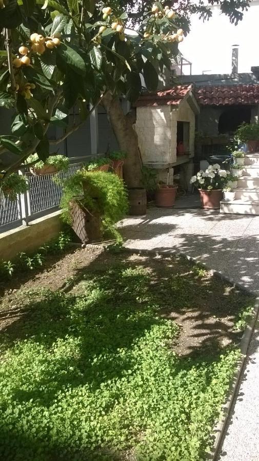 Apartman Renata 오미스 외부 사진